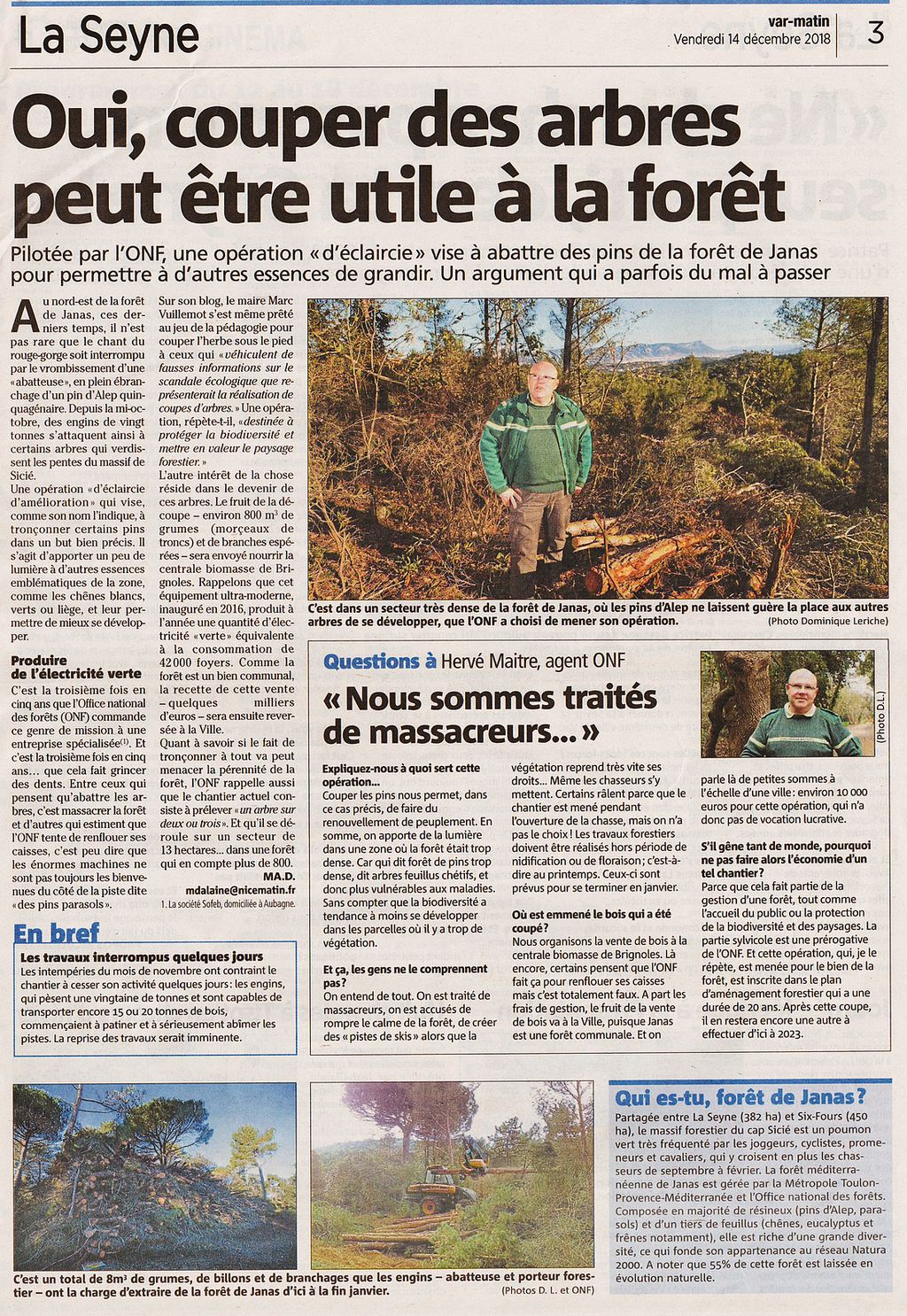 Coupe arbres forêt Janas
